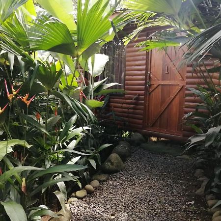 Arenal Rustic Lodge Alajuela Екстериор снимка