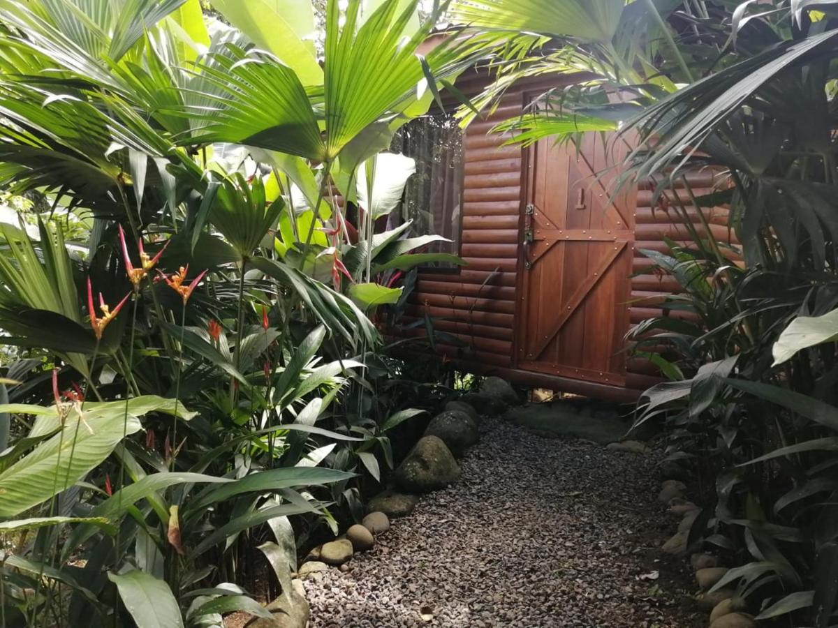 Arenal Rustic Lodge Alajuela Екстериор снимка
