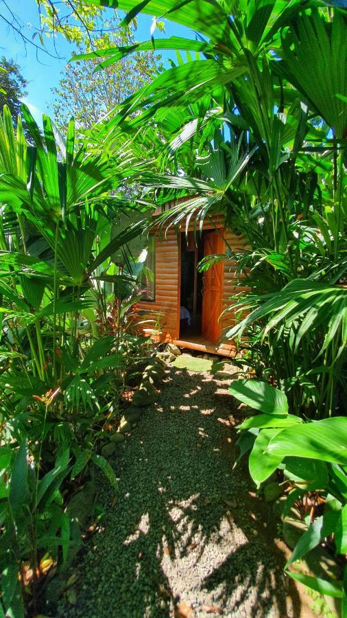 Arenal Rustic Lodge Alajuela Екстериор снимка