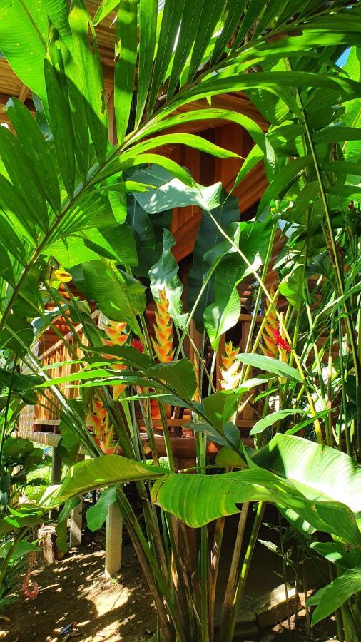 Arenal Rustic Lodge Alajuela Екстериор снимка