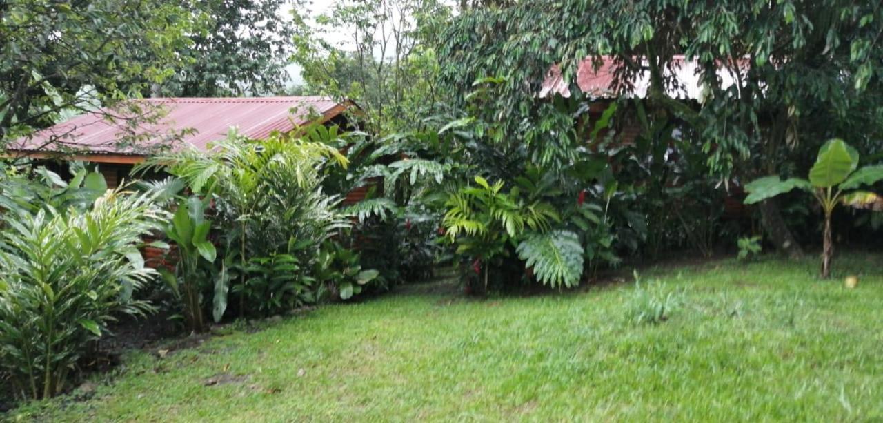 Arenal Rustic Lodge Alajuela Екстериор снимка