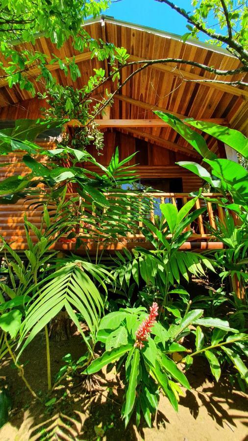 Arenal Rustic Lodge Alajuela Екстериор снимка